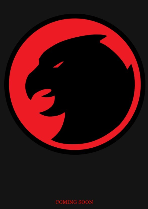 The Hawks (2021)