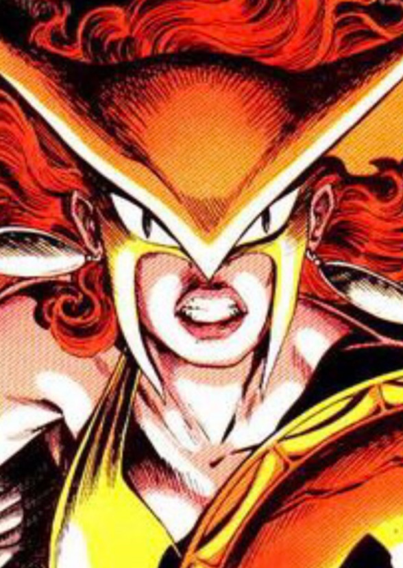 Hawkwoman: Seekers of the Mother Box