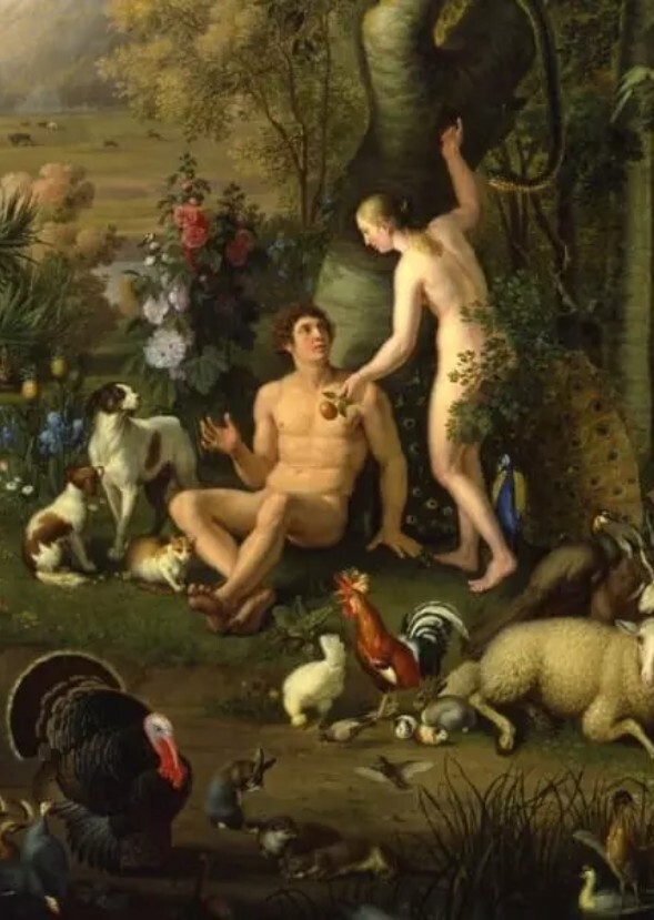 História da Humanidade 