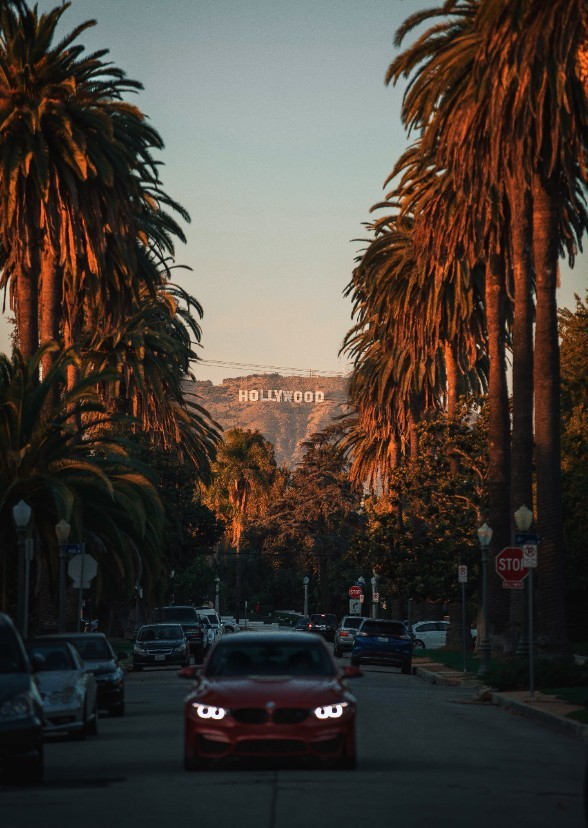 Hollywood Falling