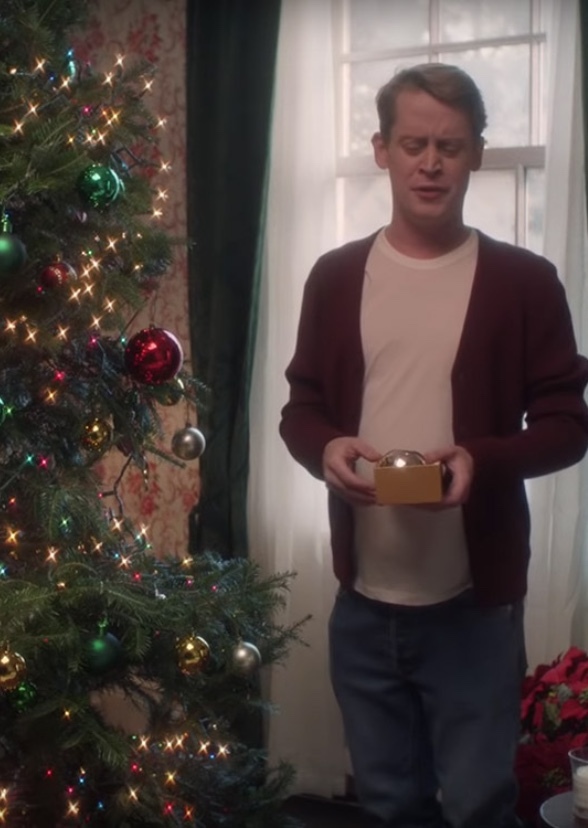 Home Alone: Family Reunion