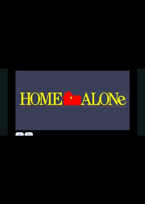 Home Alone the Series