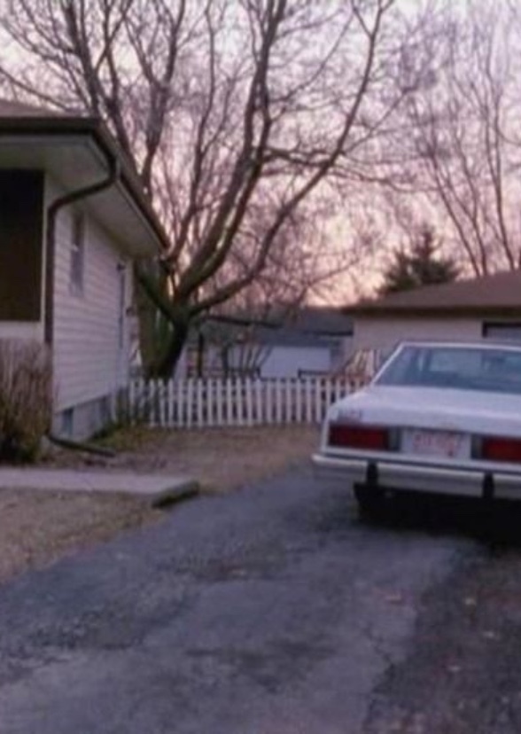 Home Video
