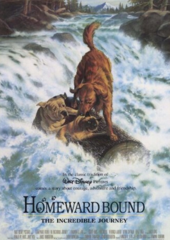 Homeward Bound: The Incredible Journey