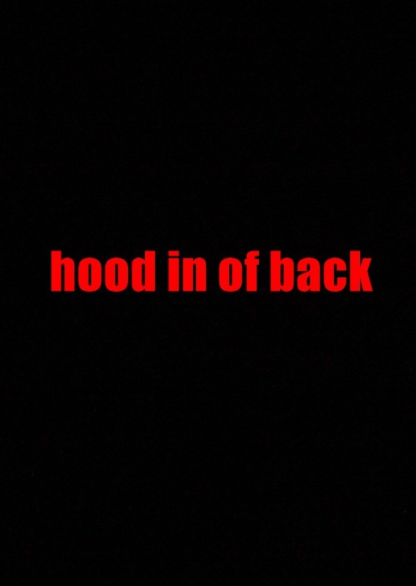Hood in of Back