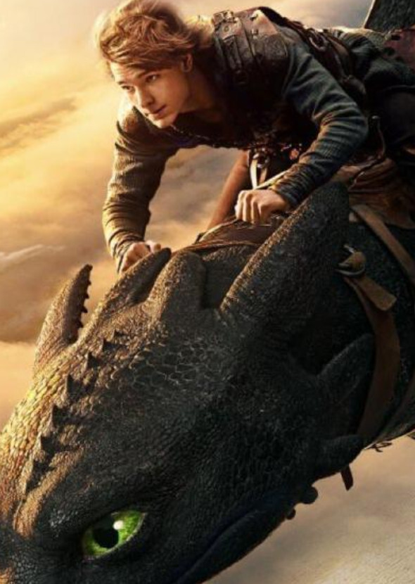 How to Train your dragon 2