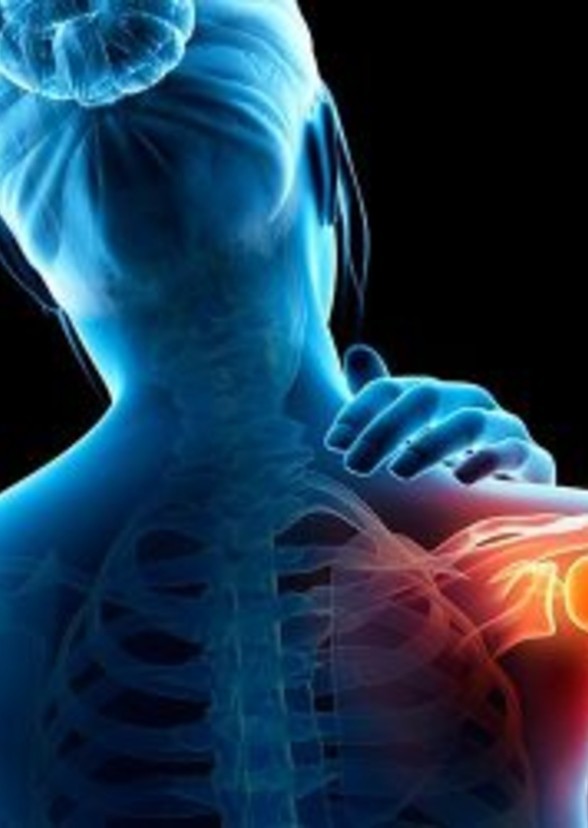 Fan Casting on myCast