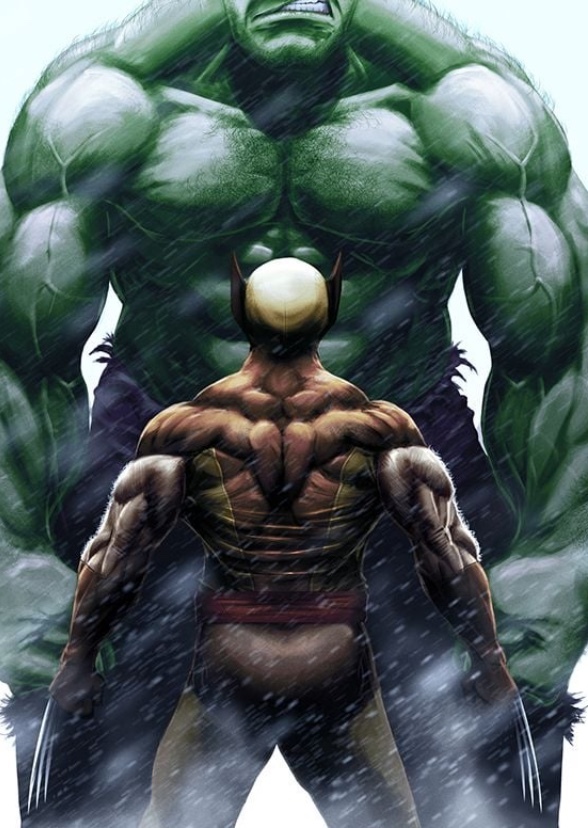 Hulk V Wolverine: Battle Of The Titans 