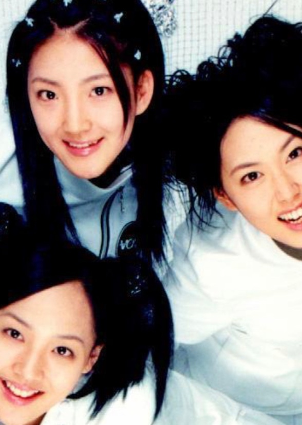 Harmonious Ascension: The SES Story