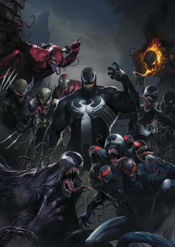 Into the Venomverse