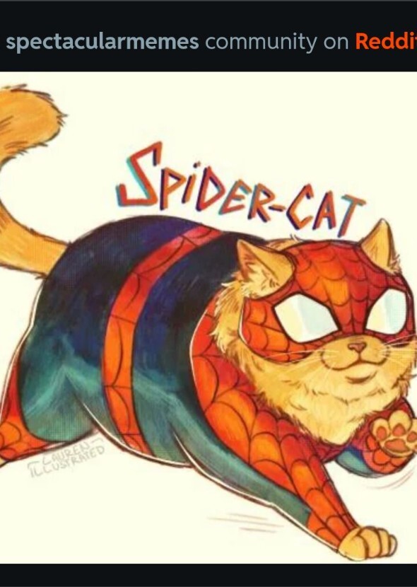 Jack Black as spider man cat Peter Parker