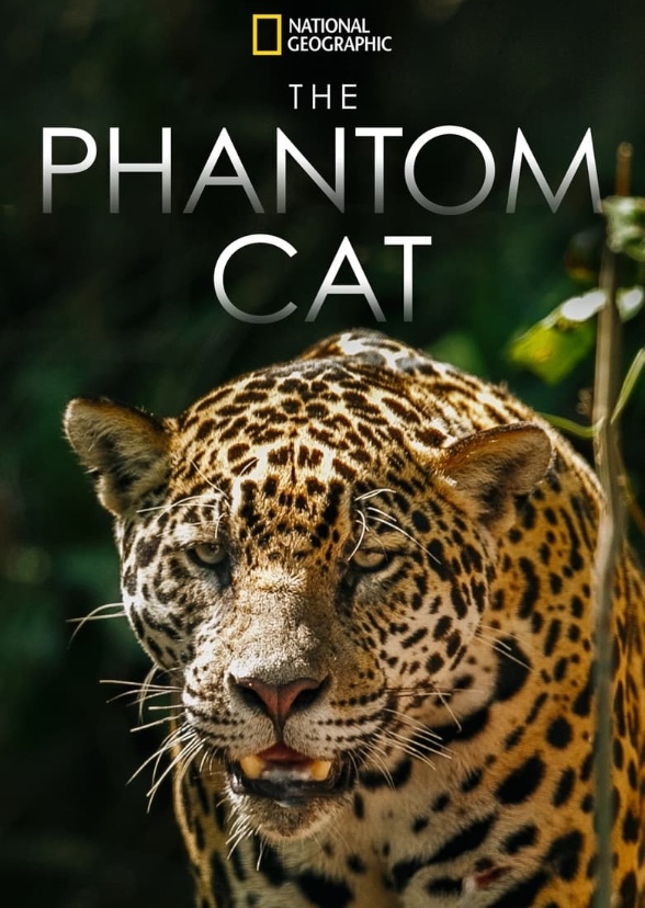 Jaguar (2024)