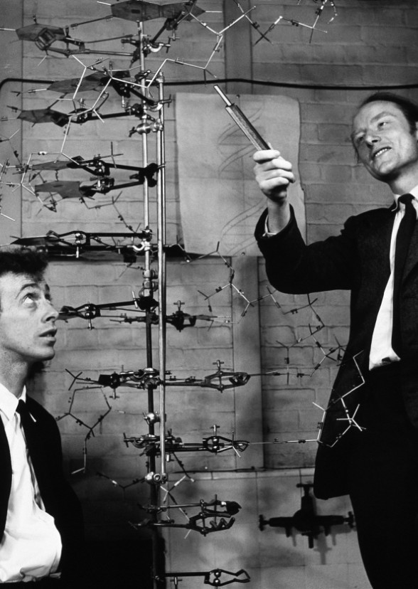 James Watson and Francis Crick Biopic