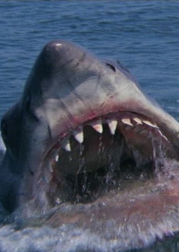 JAWS (2022)