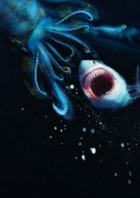 Jaws vs. the Kraken