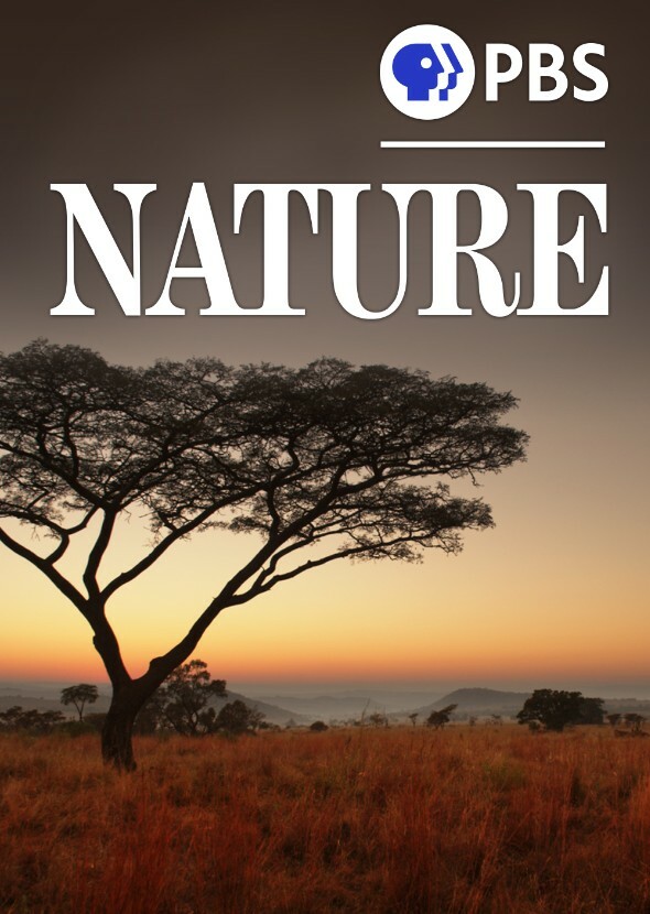 Jim Henson's PBS Nature (But with a twist)