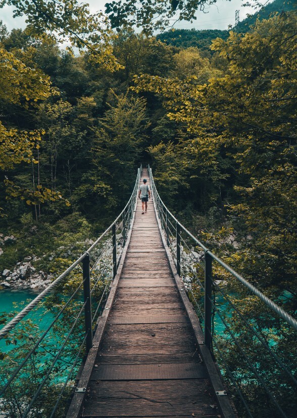 Journey Alone