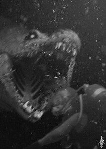 Jurassic Descent : Echoes of Survival