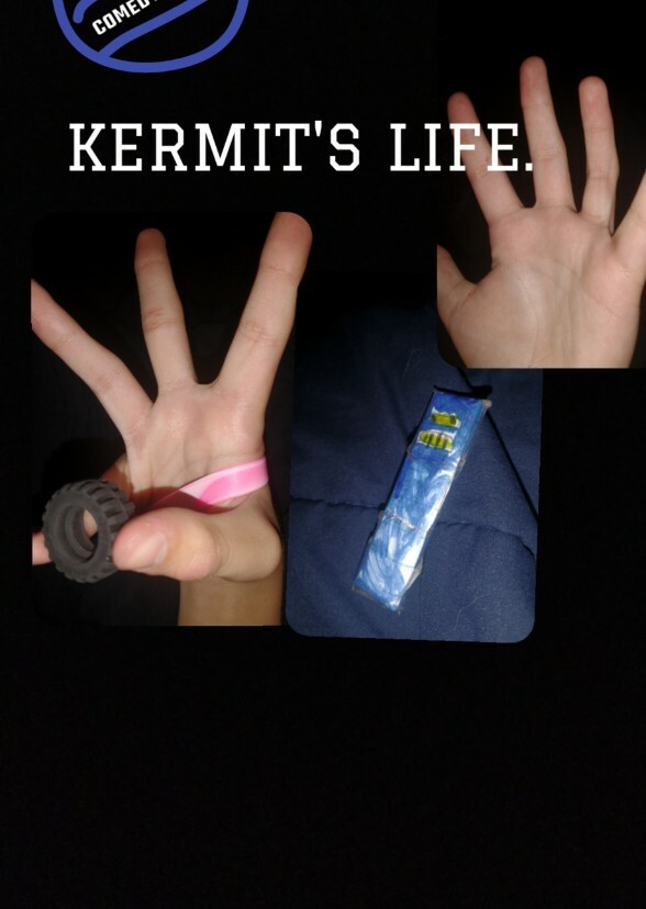 KERMIT'S LIFE 