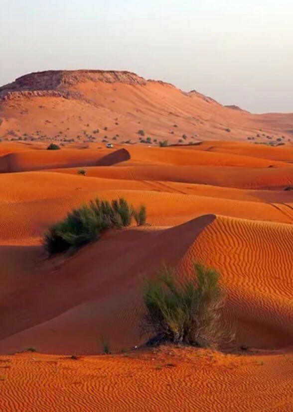 Khan And The Great Sandy Desert