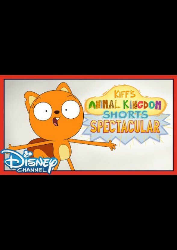 Kiff's Animal Kingdom: Shorts Spectacular