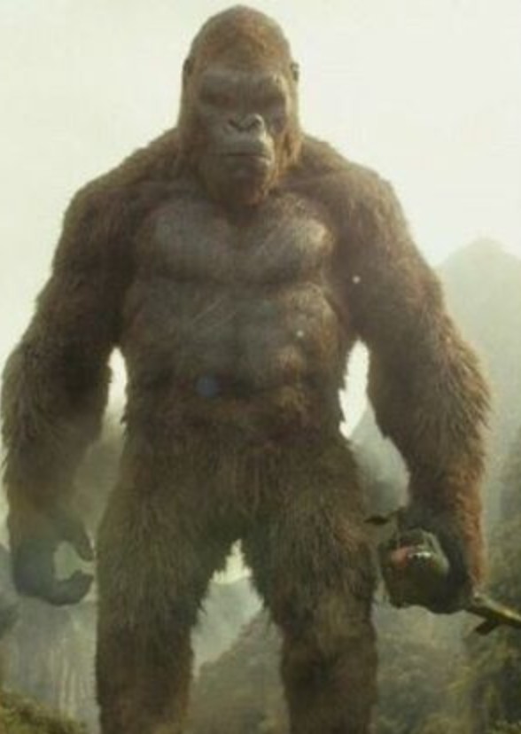 KING KONG