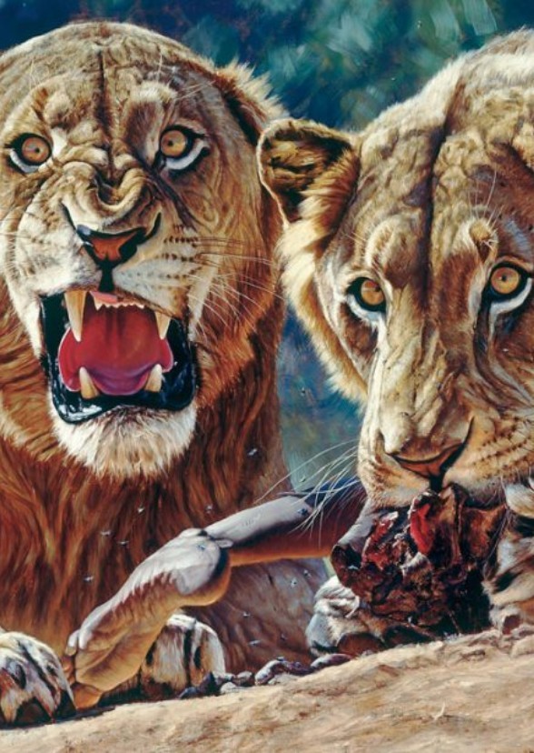 King of The Lions