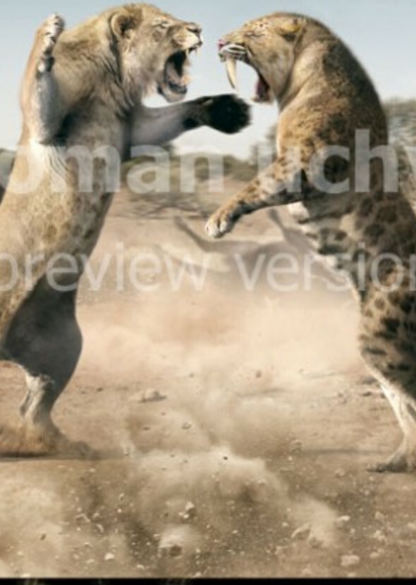 Reign of The Wild (franchise)