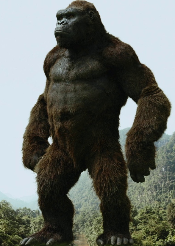 Kong: Eighth Wonder of the World