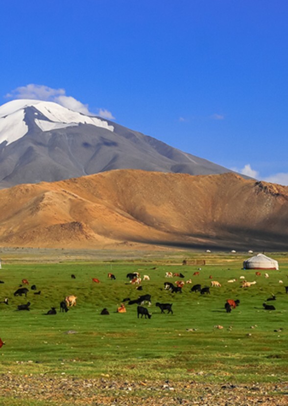 legend of Mongolia 
