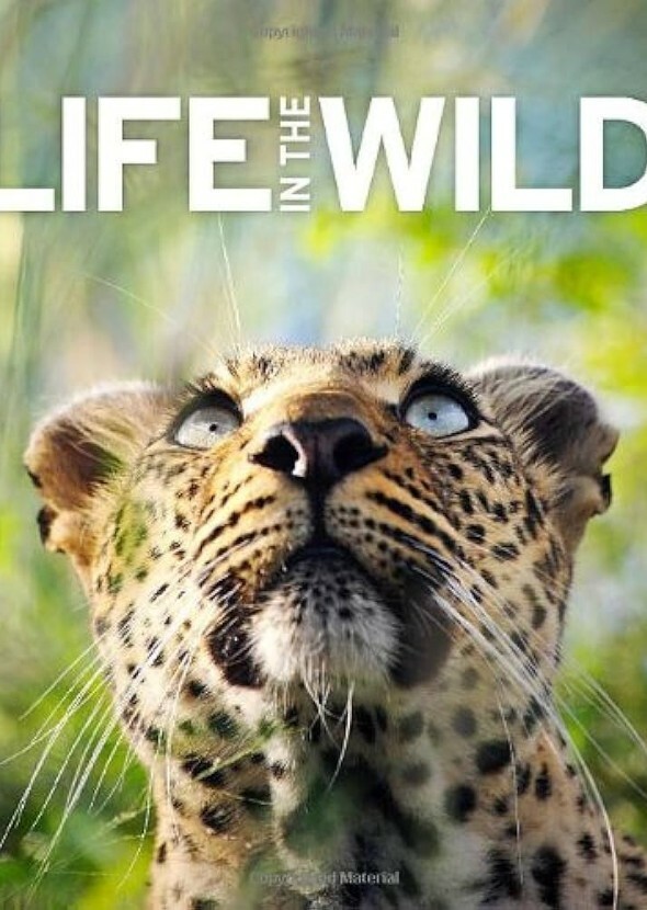 Life in the Wild (Documentary Series)