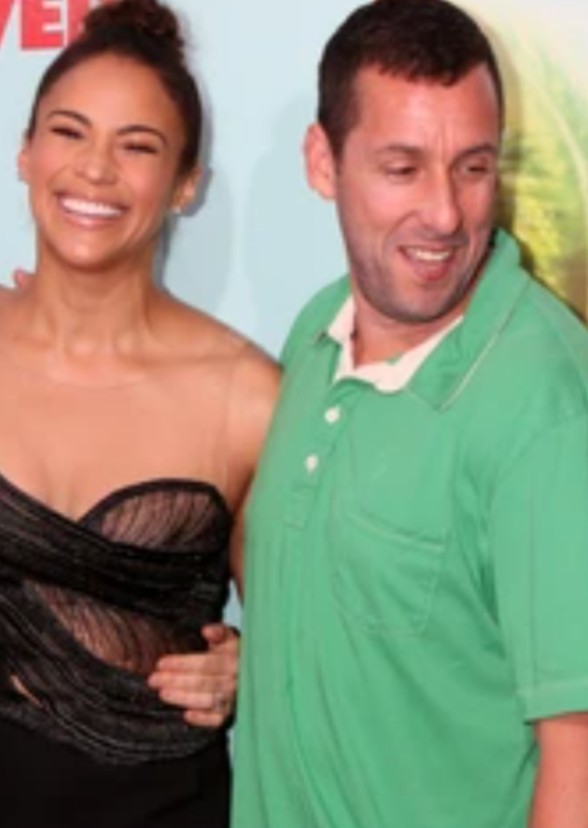 Life of a sandler 