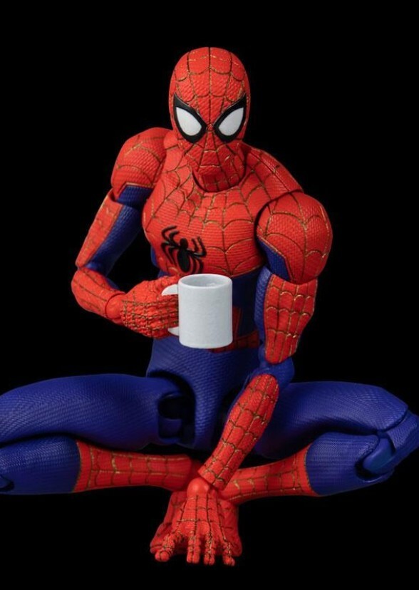 Life With The Spidey's 