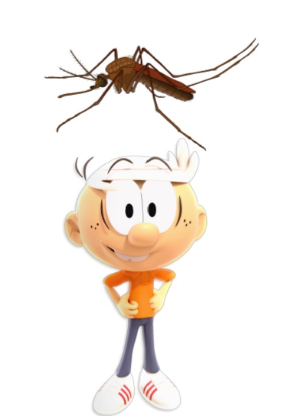 Lincoln Loud Vs A Mosquito
