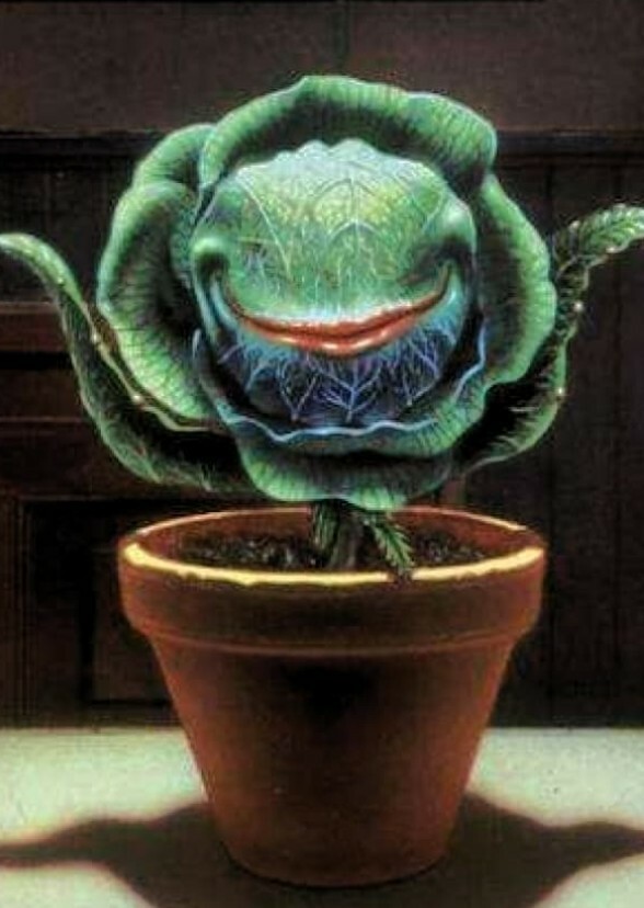 Little Shop of Horrors
