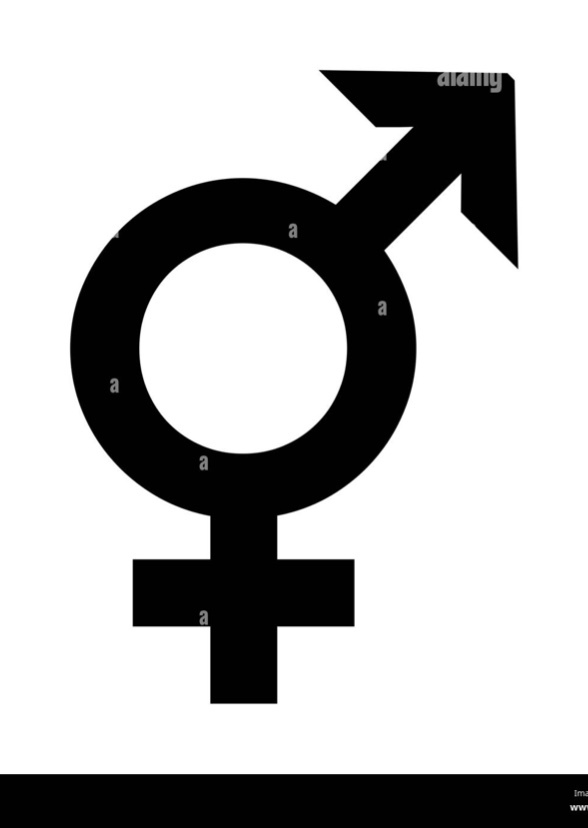 Live Male