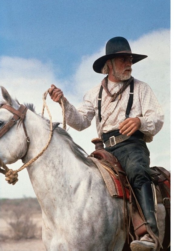 Lonesome Dove (1995)