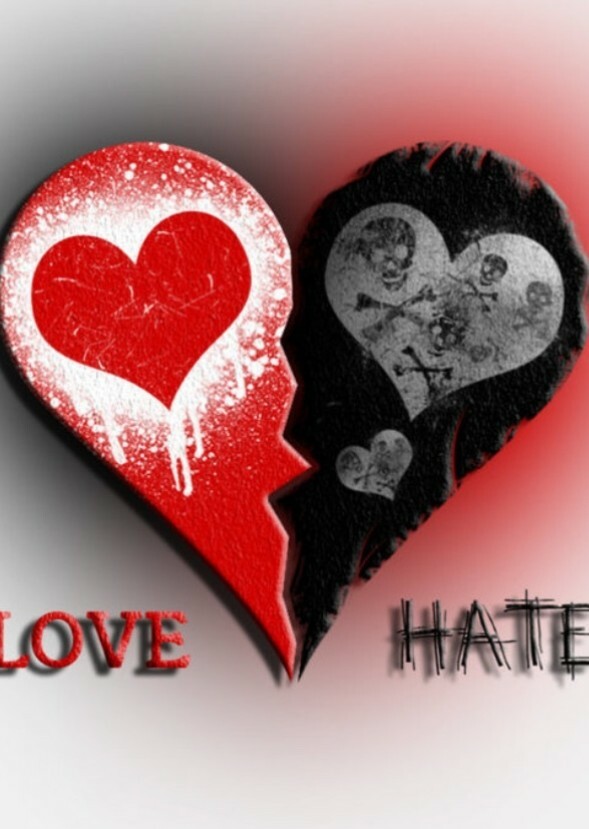 Love and hate couple love interest