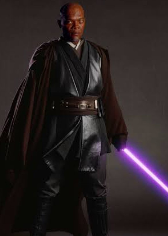 Mace: The Fallen Jedi