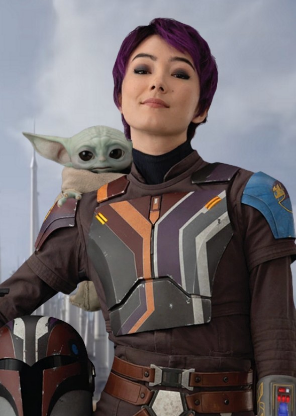 Mandalorian Knights (Disney+ Show)