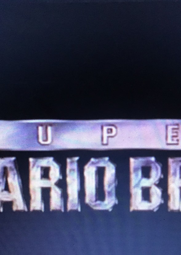 Mario Bros (Live Action TV Show)
