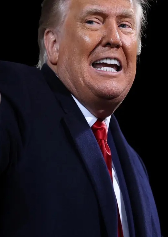 Martin Scorsese Trump Biopic