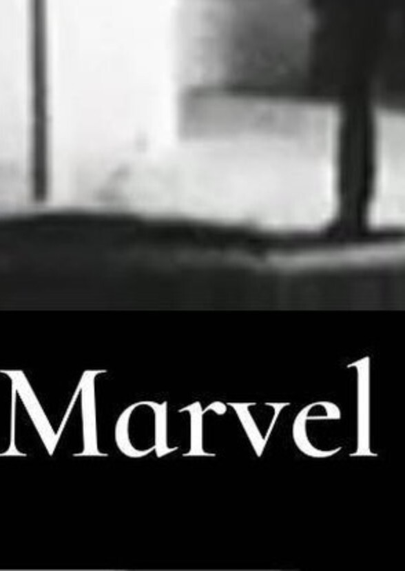 Marvel Rivals: Potential Fighters (and their VAs)