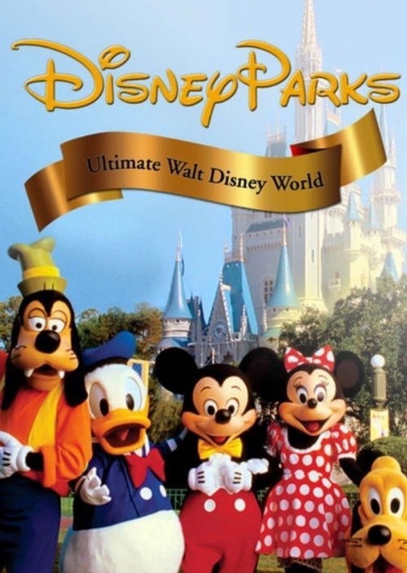 Matthew's Disney Character Meeting Journey
