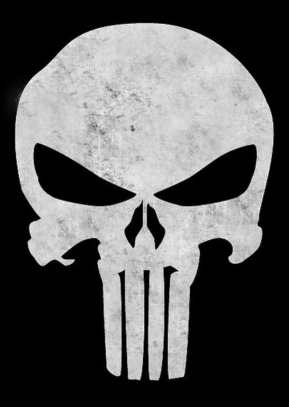 Matthew Vaughn's The Punisher (2012)