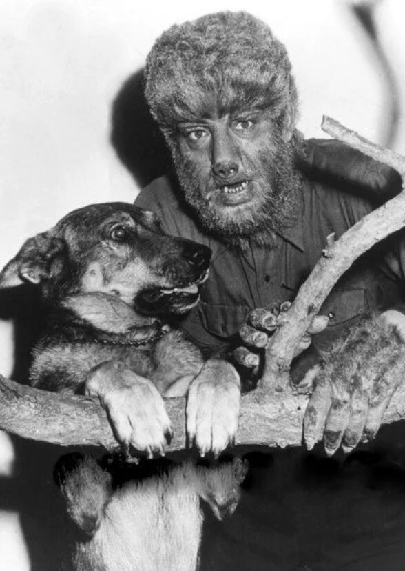 Mel Brooks' Good Boy, Wolfman! (1984)