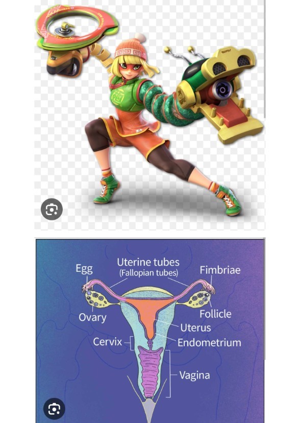 Min Min's Scientific Pregnancy