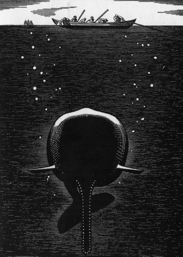 Moby Dick
