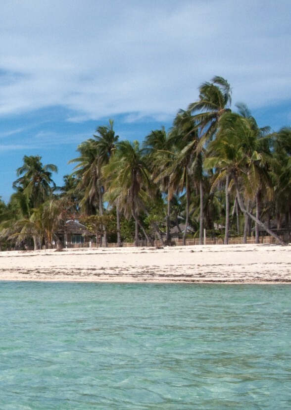 Monster Island