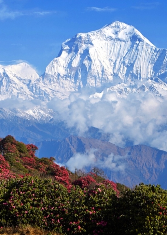 Mountains: The World Above the Clouds